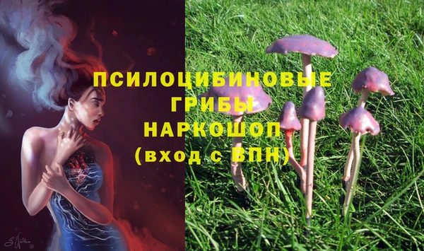 синтетический гашиш Костерёво