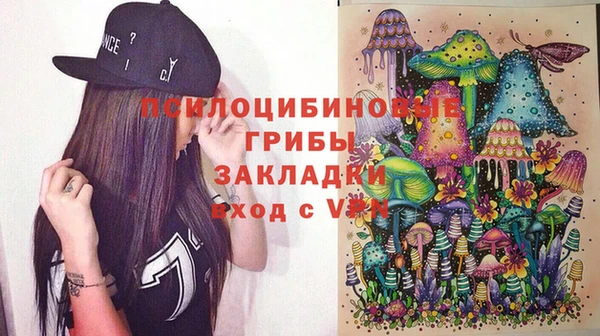 крисы Магас
