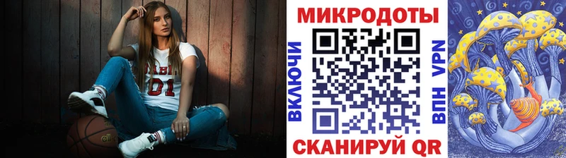Галлюциногенные грибы Psilocybe  Новосокольники 